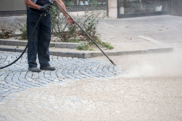 Best Post-Construction Pressure Washing  in Springerville, AZ