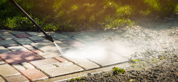 Best Pool Deck Cleaning  in Springerville, AZ