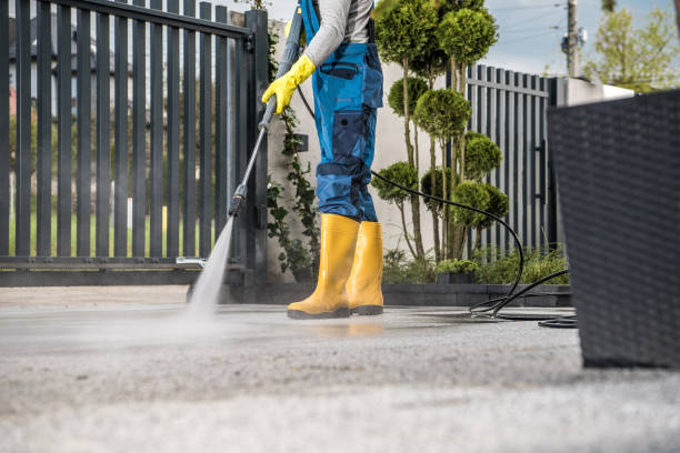 Spring Cleaning in Springerville, AZ