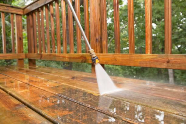Best Animal Enclosure Cleaning  in Springerville, AZ